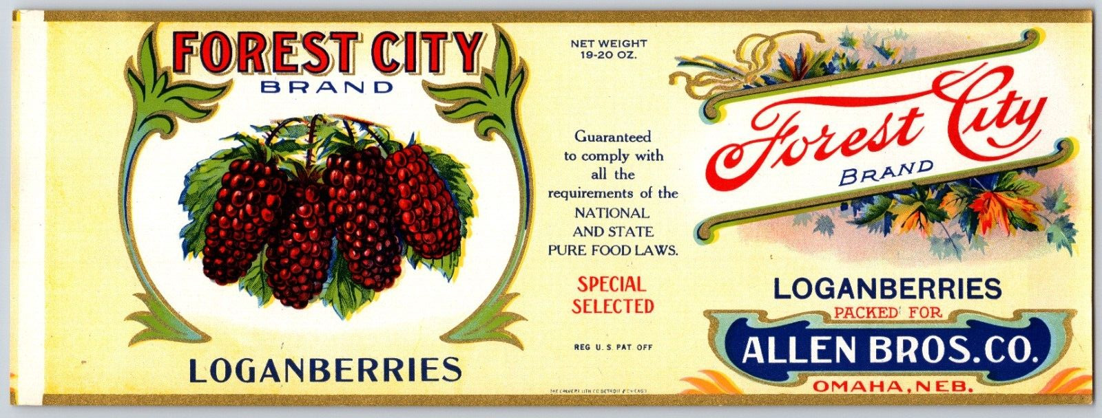 Loganberries Forest City Allen Bros. Omaha Paper Can Label c1920\'s-30\'s NOS VGC
