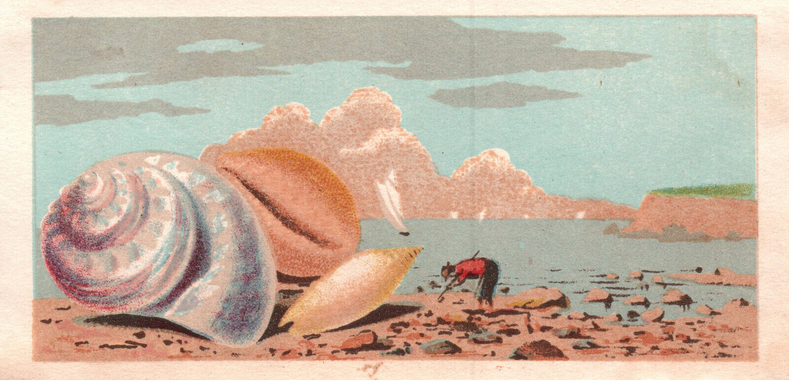 Rare 1870s-80s Victorian Card- Unprinted- Sea Shells- Ocean scene