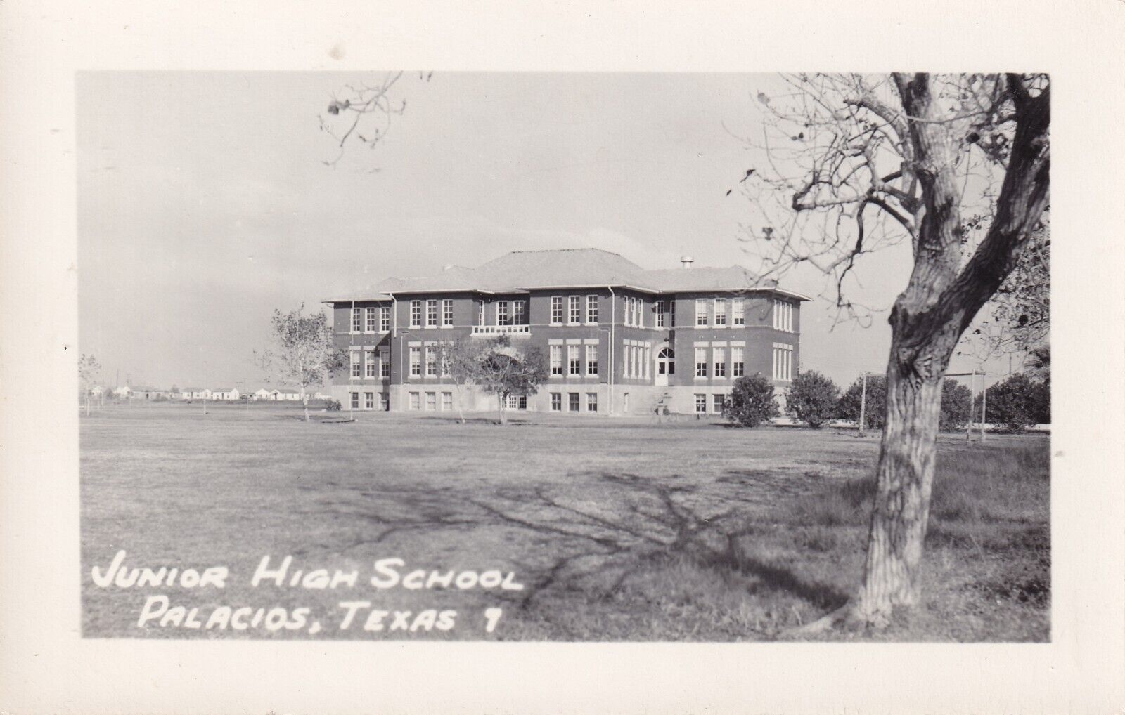 Vintage RPPC Postcard - Junior High School Palacios Texas