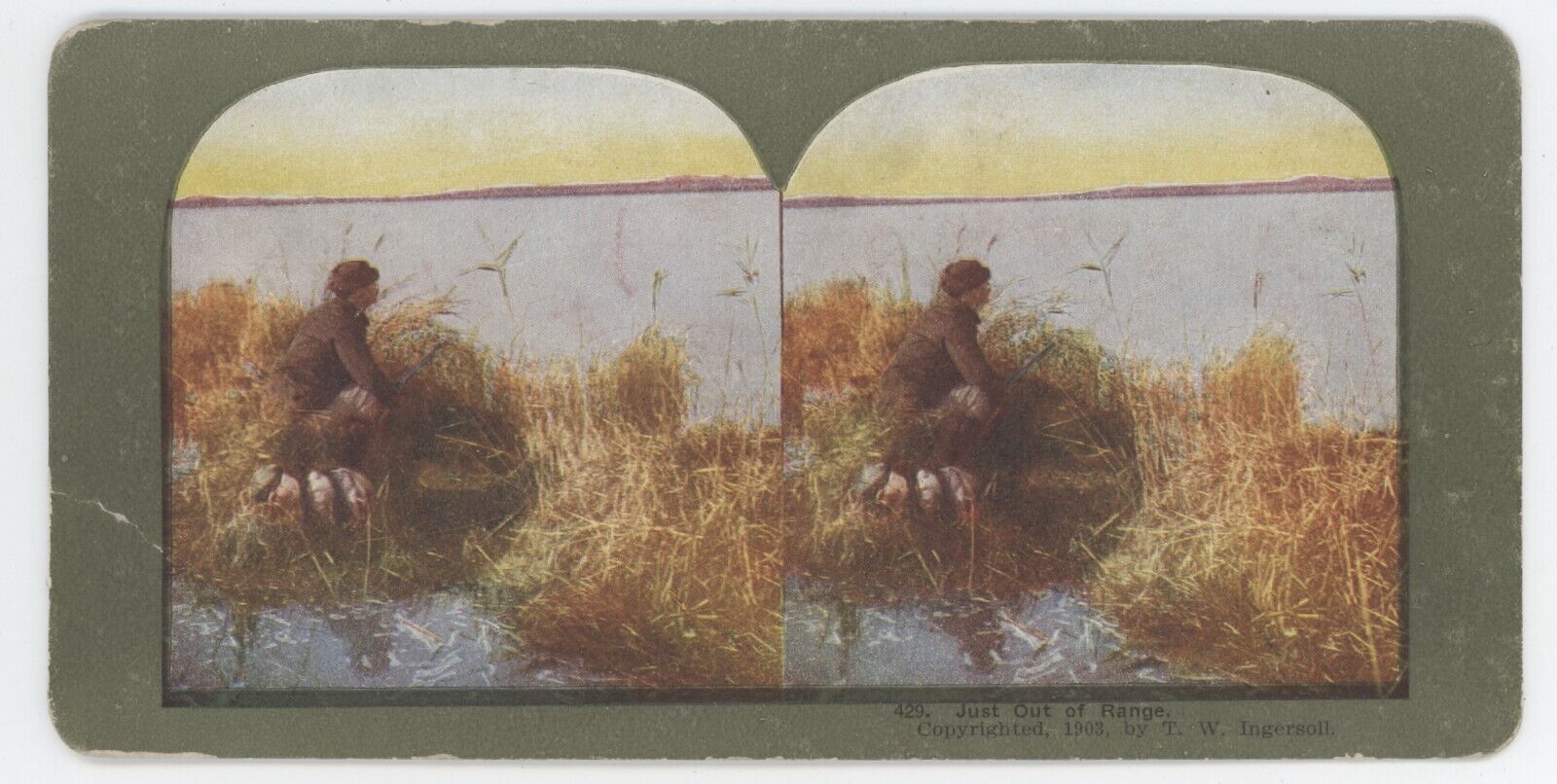 c1900\'s Colorized Stereoview Just Out Of Range.  Duck Hunter in Reeds By Lake