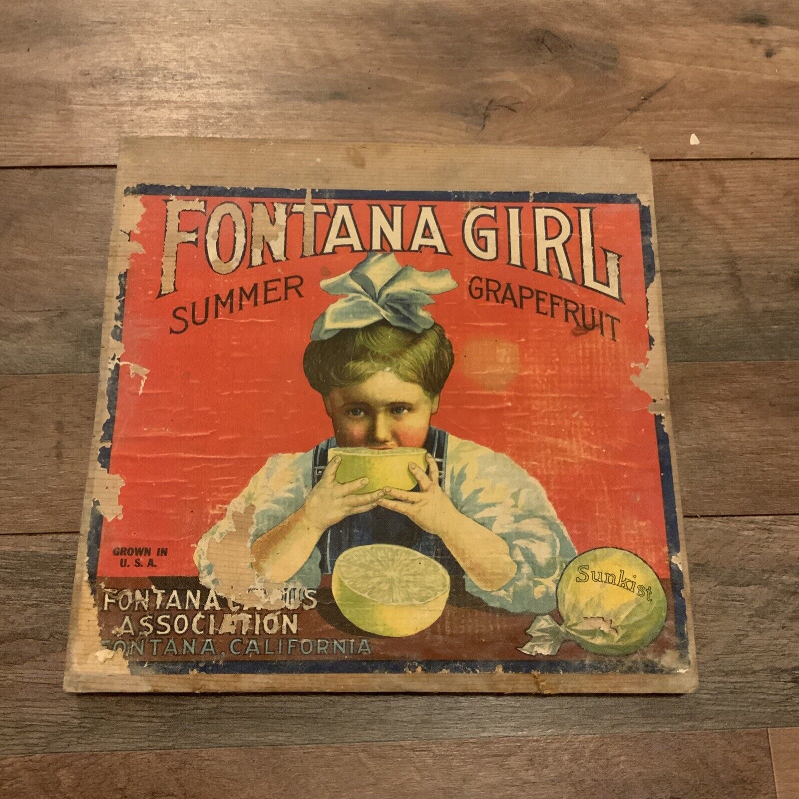 Antique 1920 Fontana Girl Fruit Box Label End California Art Advertising Sunkist