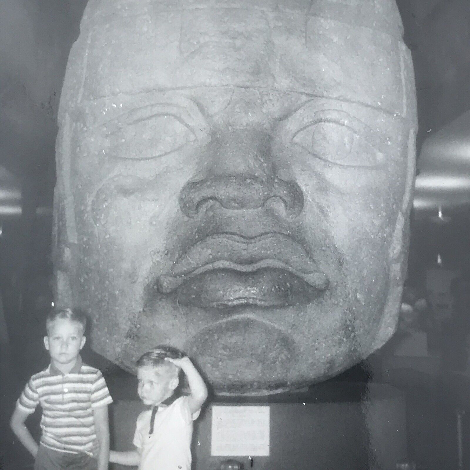 Vintage 1957 Black and White Photo Olmec Colossal Human Head Sculpture