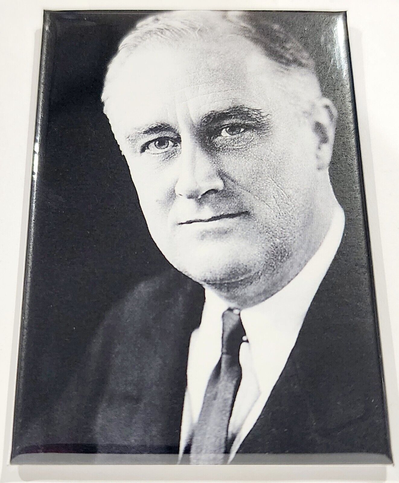 Franklin Roosevelt Portrait MAGNET 2\