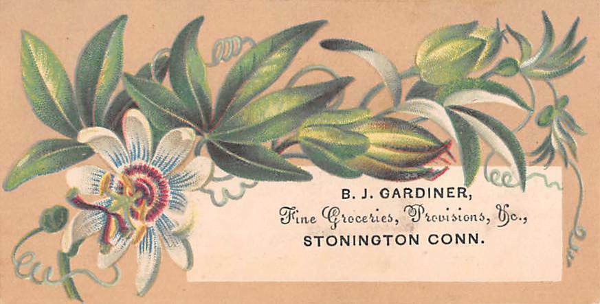 STONINGTON, CT, 2 ADV TRADE CARDS FOR MERCHANTS GARDINER & PALMER c 1880\'s