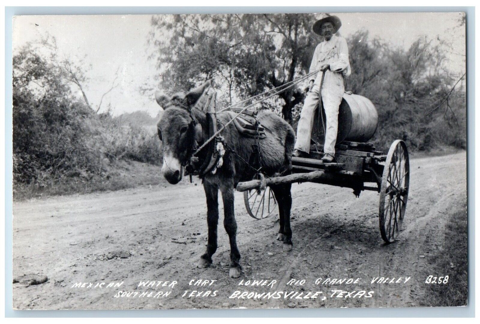 Brownsville TX Postcard RPPC Photo Michigan Water Cart Lower Rio Grande Valley