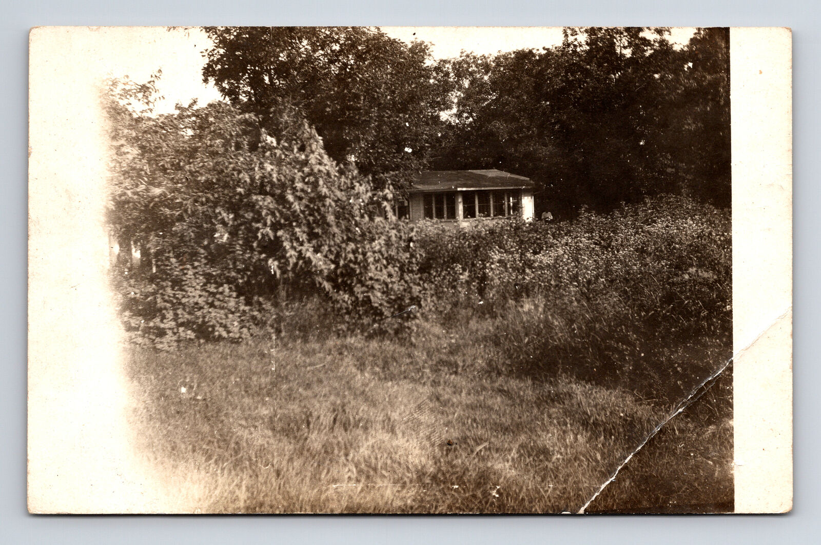 RPPC Secluded Small Home in the Trees Real Photo Postcard