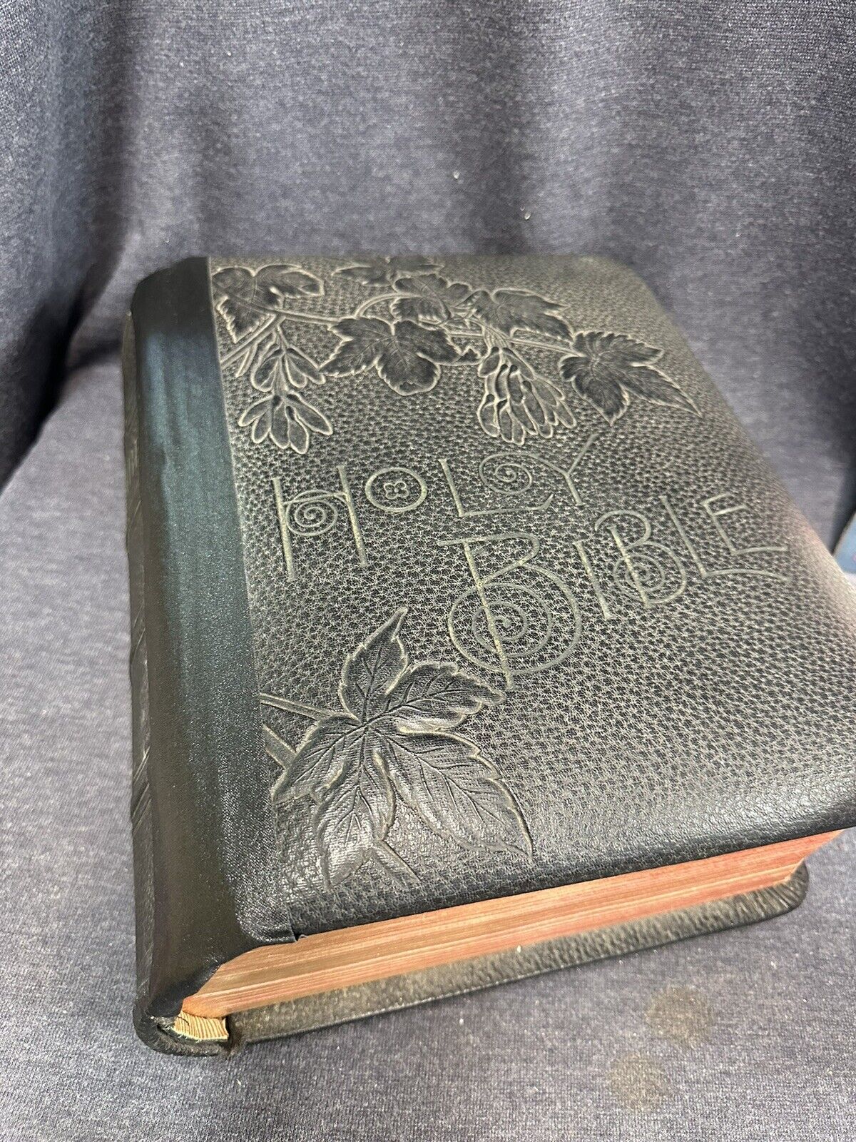 1891 Holman Self Explanatory Pictorial Holy Bible W/ Illustrations