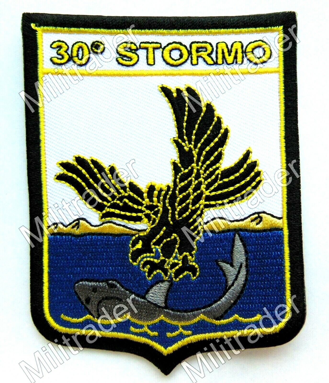 Italian Air Force 30th Wing Patch