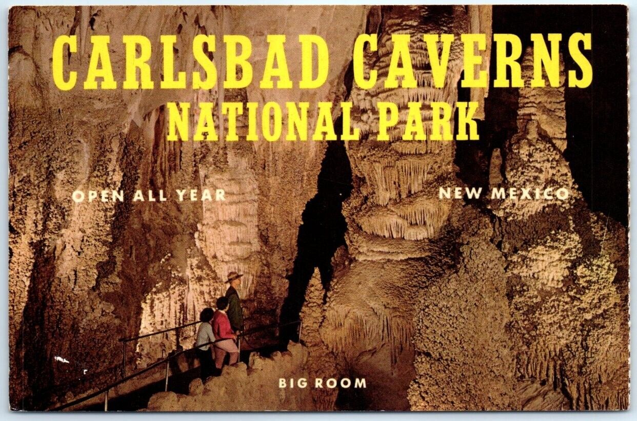 Postcard - Big Room, Carlsbad Caverns National Park, New Mexico, USA