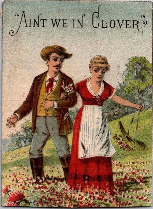 c1880 “Ain’t We In Clover” Romantic Couple Flowers Trimmed Victorian Trade Card