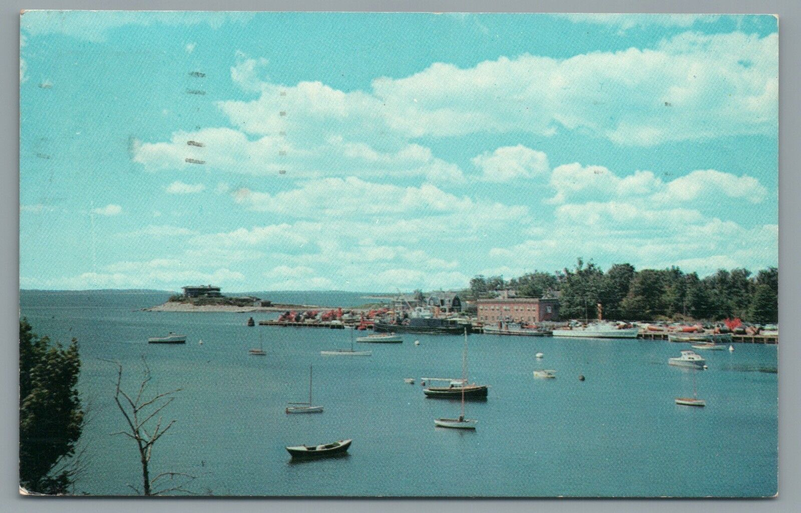 Coast Guard Station at Woods Hole on Cape Cod MassVintage Postcard c1962