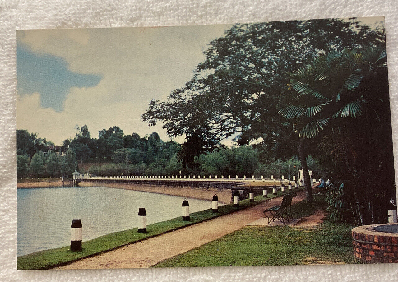 Postcard Singapore McRitchie Reservoir 50A-867F
