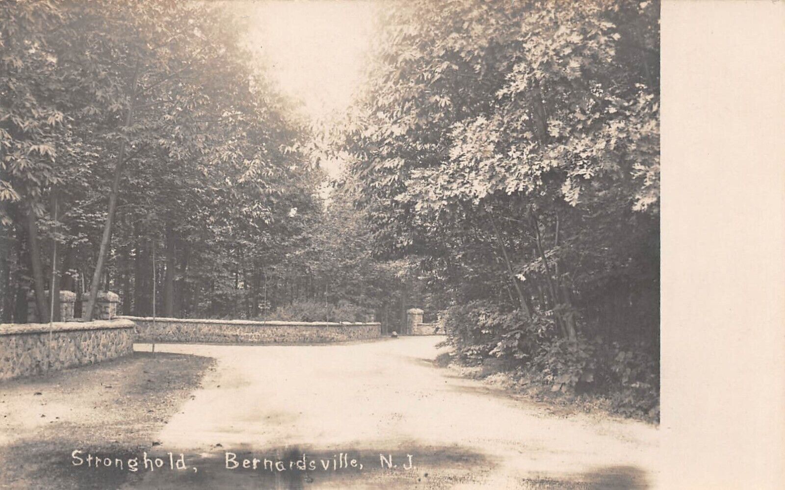 RPPC STRONGHOLD MANSION Bernardsville New Jersey Real Photo c1910 Postcard