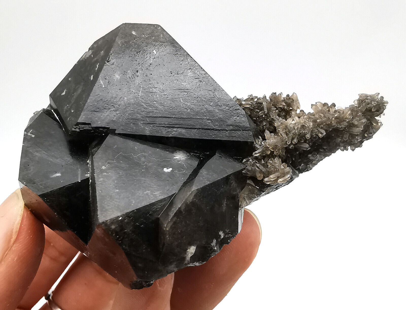 149g Natural Black Quartz Crystal Cluster Mineral Specimen Inner Mongolia