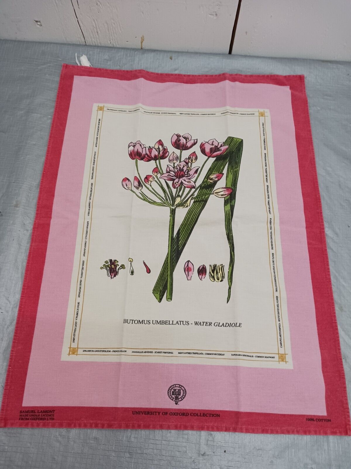 Vintage Tea Towel Flower University Collection Samuel Lamont Licenced  24 X 18