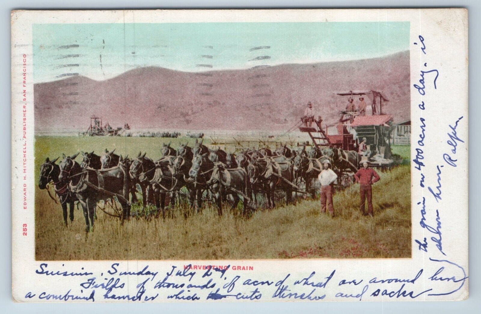 Postcard Harvesting Grain Horse Drawn Harvester California c1905