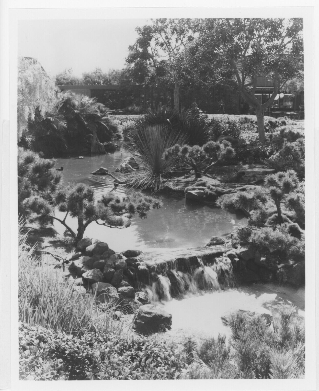 1985 Press Photo Sea World Aquarium San Diego California Fountains Ponds Flowers