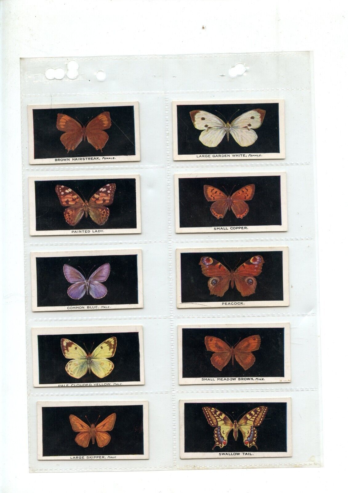 1935 Abdulla - British Butterflies COMPLETE CARD SET (25/25) VG-EX (140040)