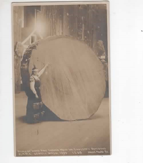 Seattle World\'s Fair 1909 Indian Maid Posing at Forestry Building postcard