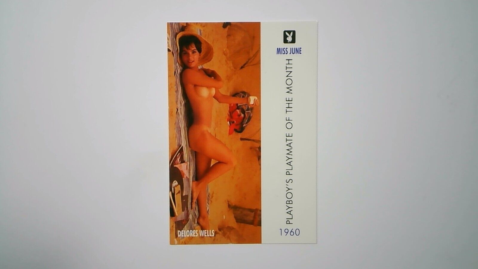 1995 Playboy Centerfold Collector Card June #21 Delores Wells