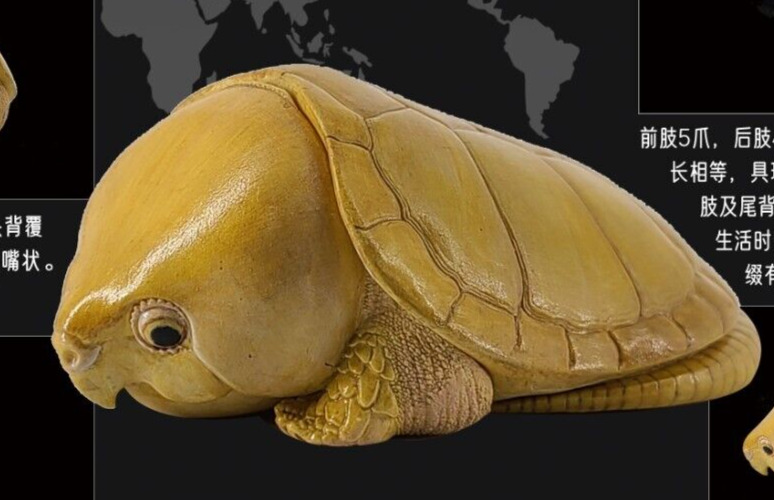 【In-Stock】 Animal Heavenly Body Turtle Yellow Big-headed Collectible Statue