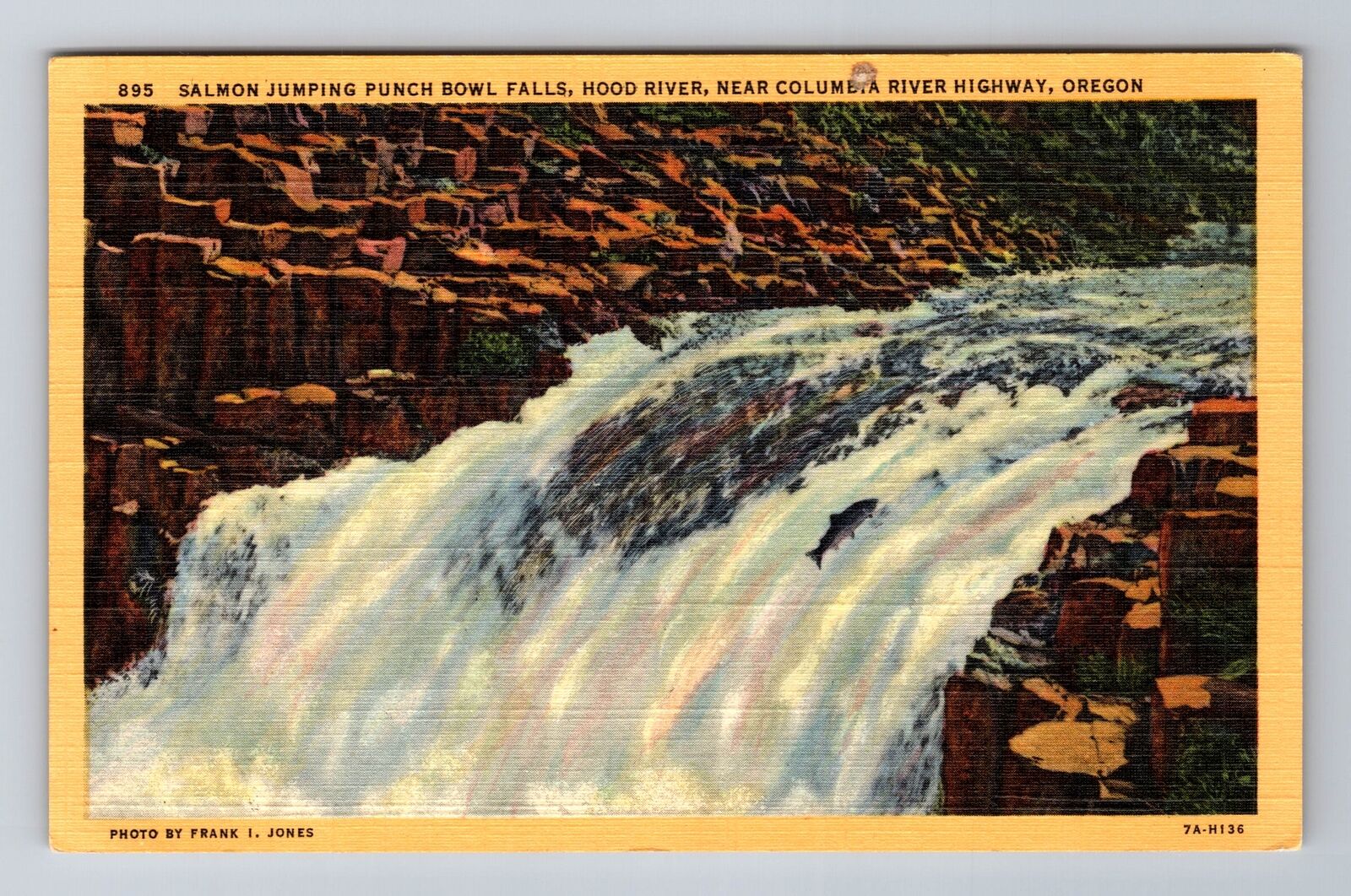 OR-Oregon, Salmon Jumping Punch Bowl, Antique, Vintage Souvenir Postcard