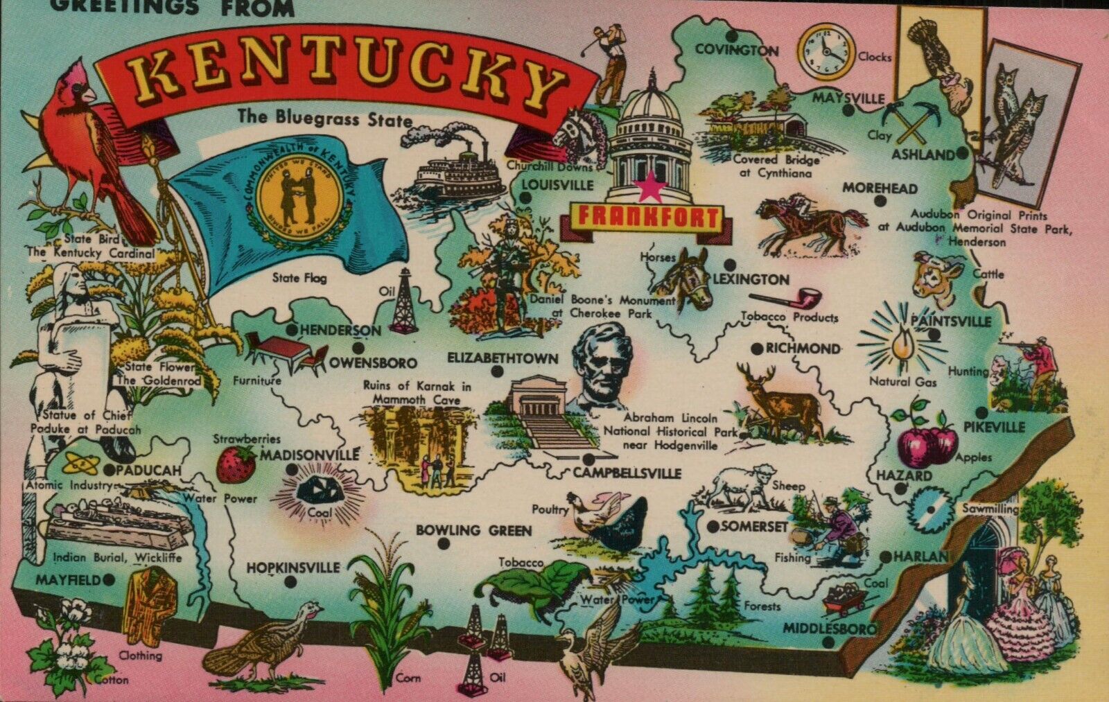  Vtg Postcard Greetings From Kentucky The Bluegrass State