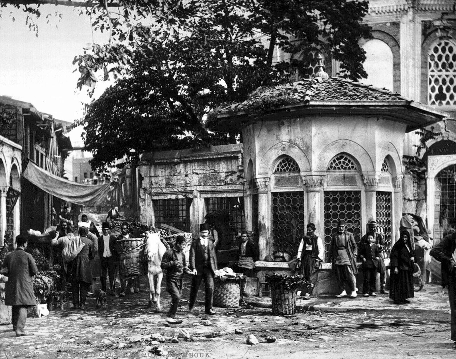 1891 CONSTANTINOPLE TURKEY Cityscape Classic Picture Photo Art Print 5x7