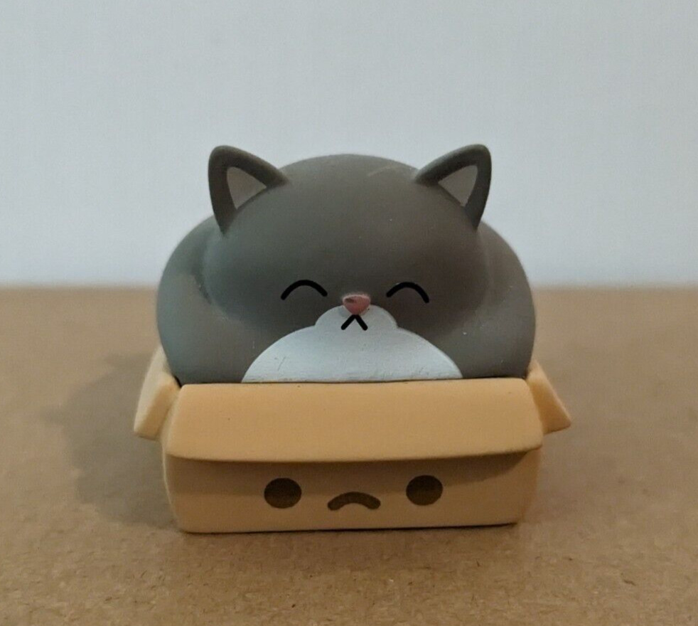 100% Soft Trash Kitties Series 1 Chonky Cat in Box Mini Vinyl Figure 100 Soft