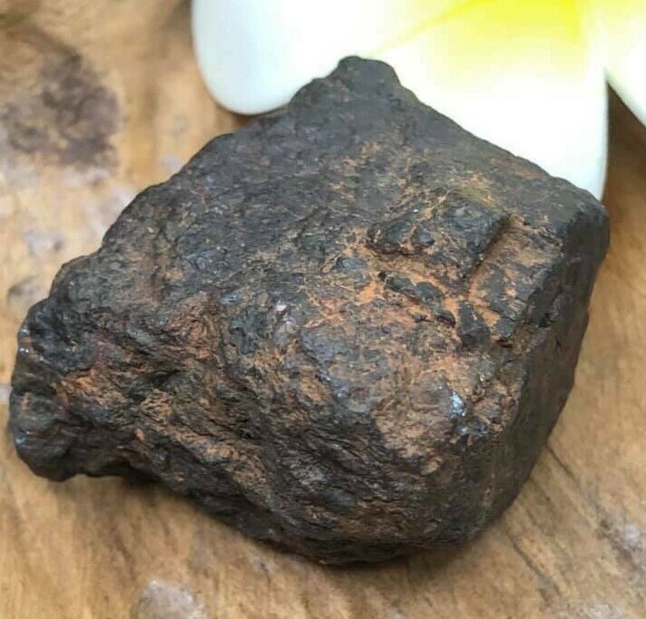 Leklai Buddha Amulet Thai Stone Meteorite Tektite Rock Iron Fossil Natural  103g