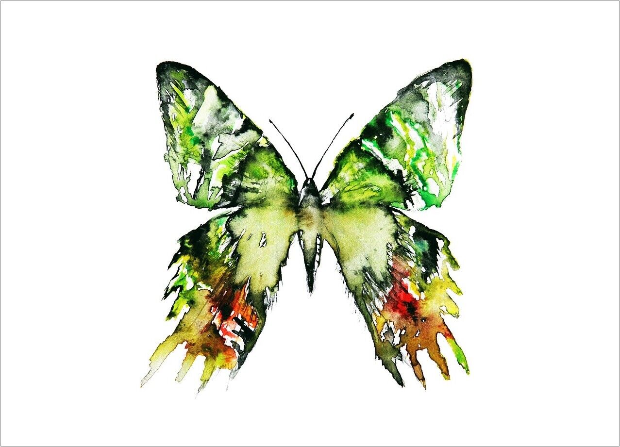 WATERCOLOR ARTWORK *2X3 FRIDGE MAGNET* PAINTING FINE GREEN COLOR BUTTERFLY MOTH 