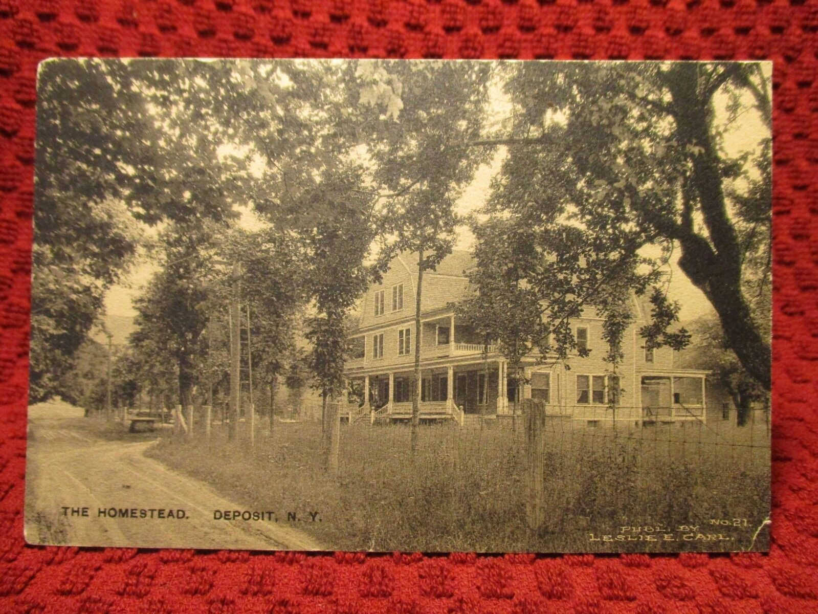 EARLY 1900\'S. DEPOSIT, NY. THE HOMESTEAD. POSTCARD I12