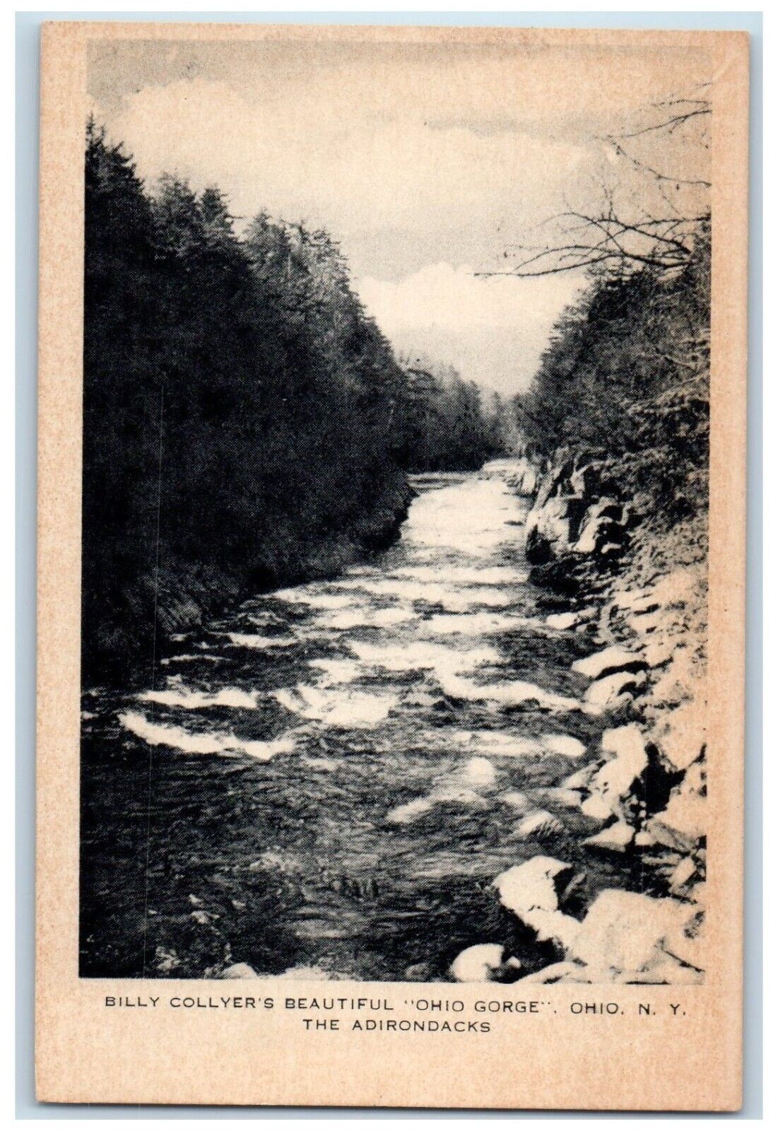 c1920 Billy Collyer Ohio Gorge Ohio Adirondacks New York NY Antique Postcard