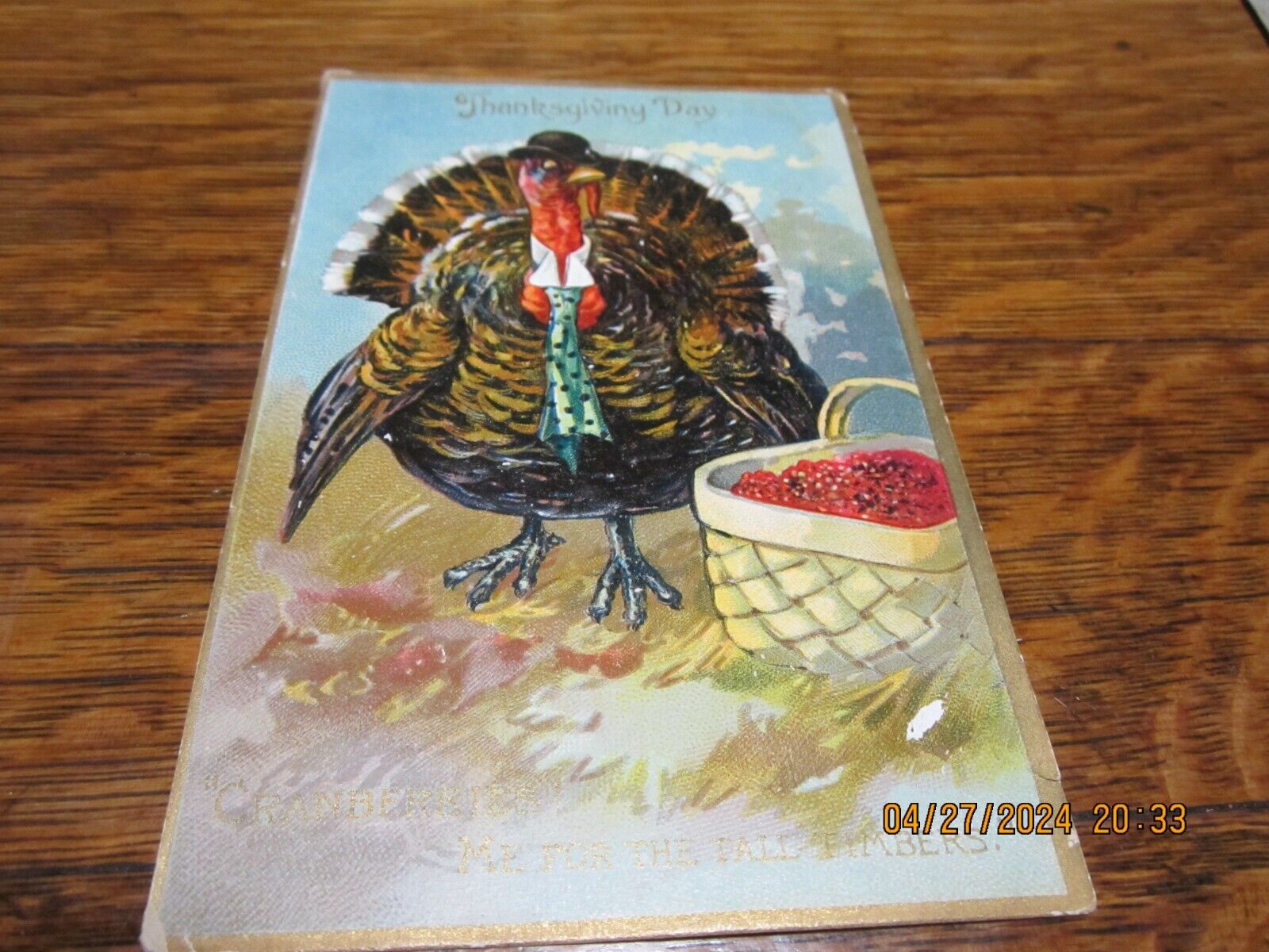 1908 TUCK\'S THANKSGIVING POSTED POSTCARD