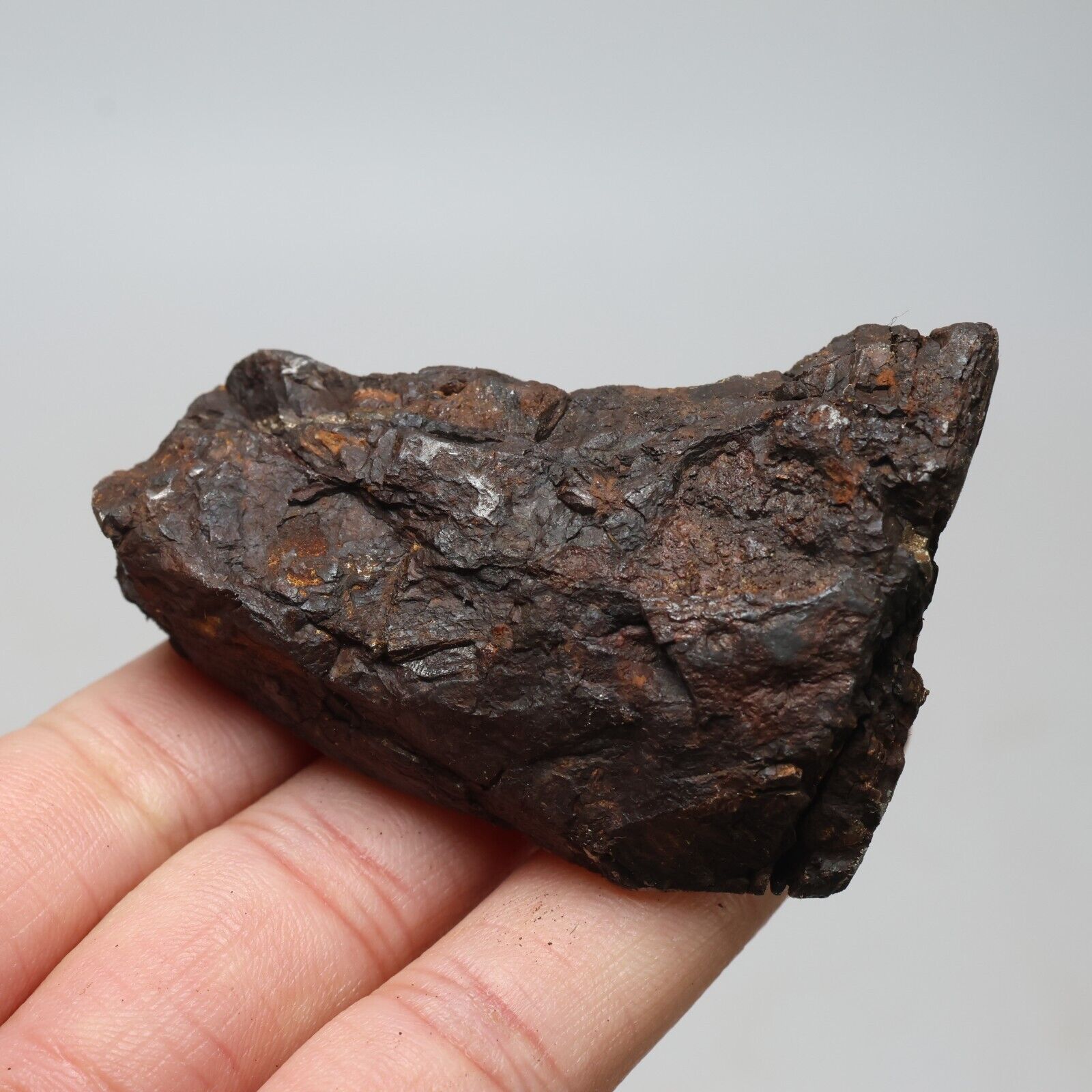 181g  Muonionalusta meteorite part slice C7195