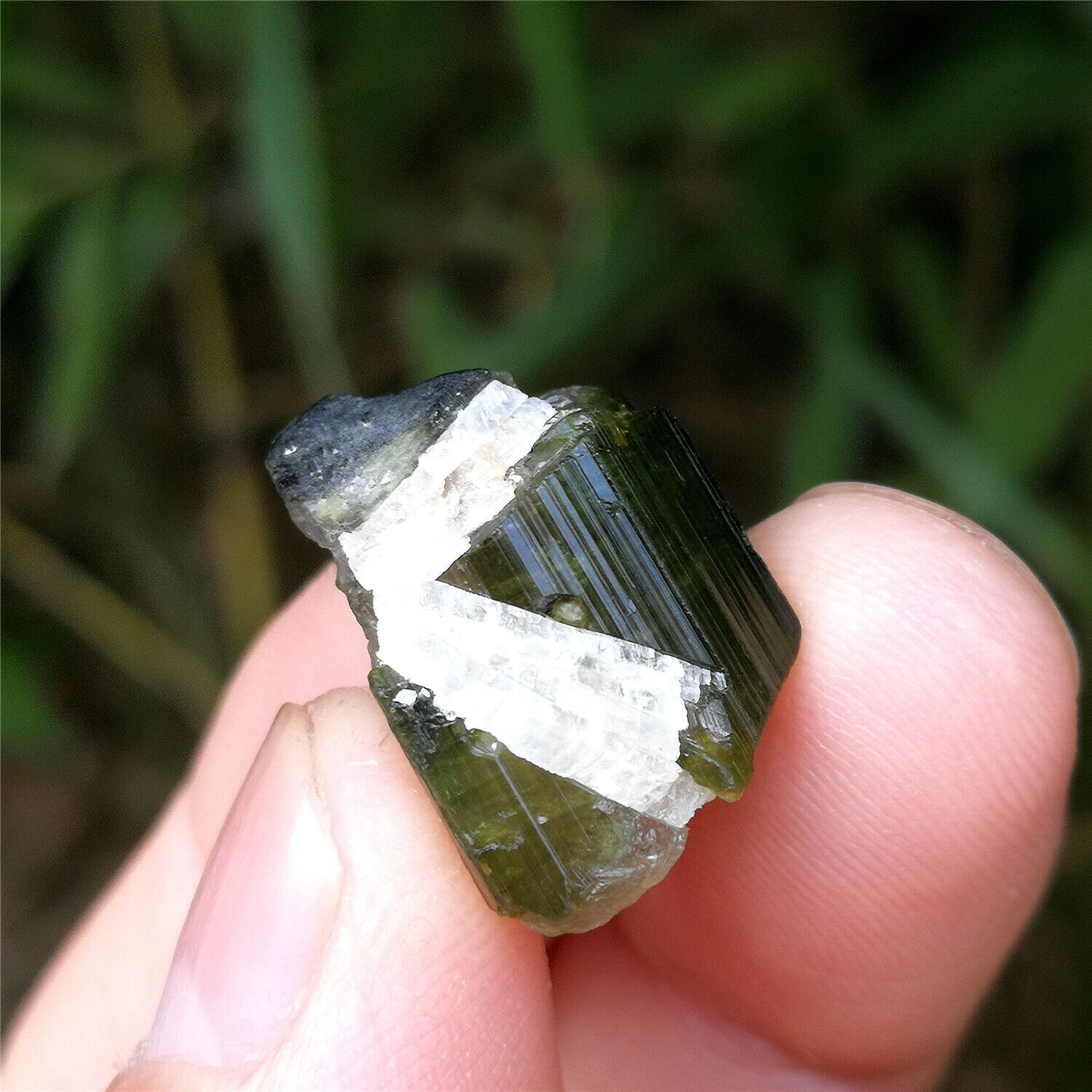 5.2g Green Tourmaline Specimen Natural Columnar Tourmaline Quartz Crystal RARE
