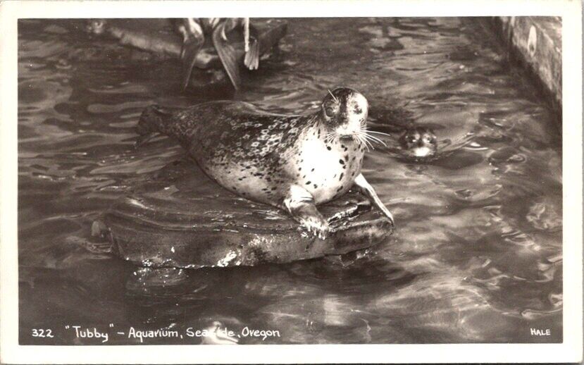 Vintage RPPC Postcard Tubby the Seal at Seaside Aquarium Seaside Oregon OR  Z146