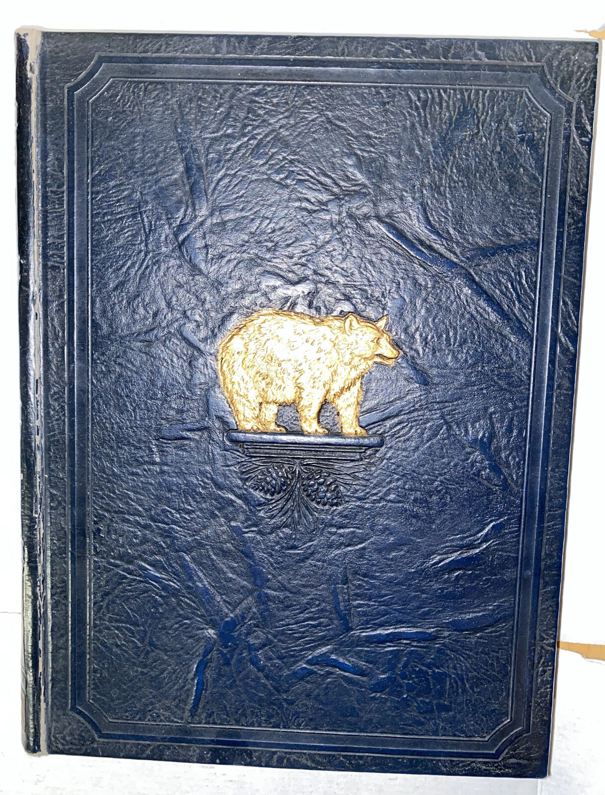 1928 THE UNIVERSITY OF CALIFORNIA YEAR BOOK - BLUE AND GOLD - VOLUME 55