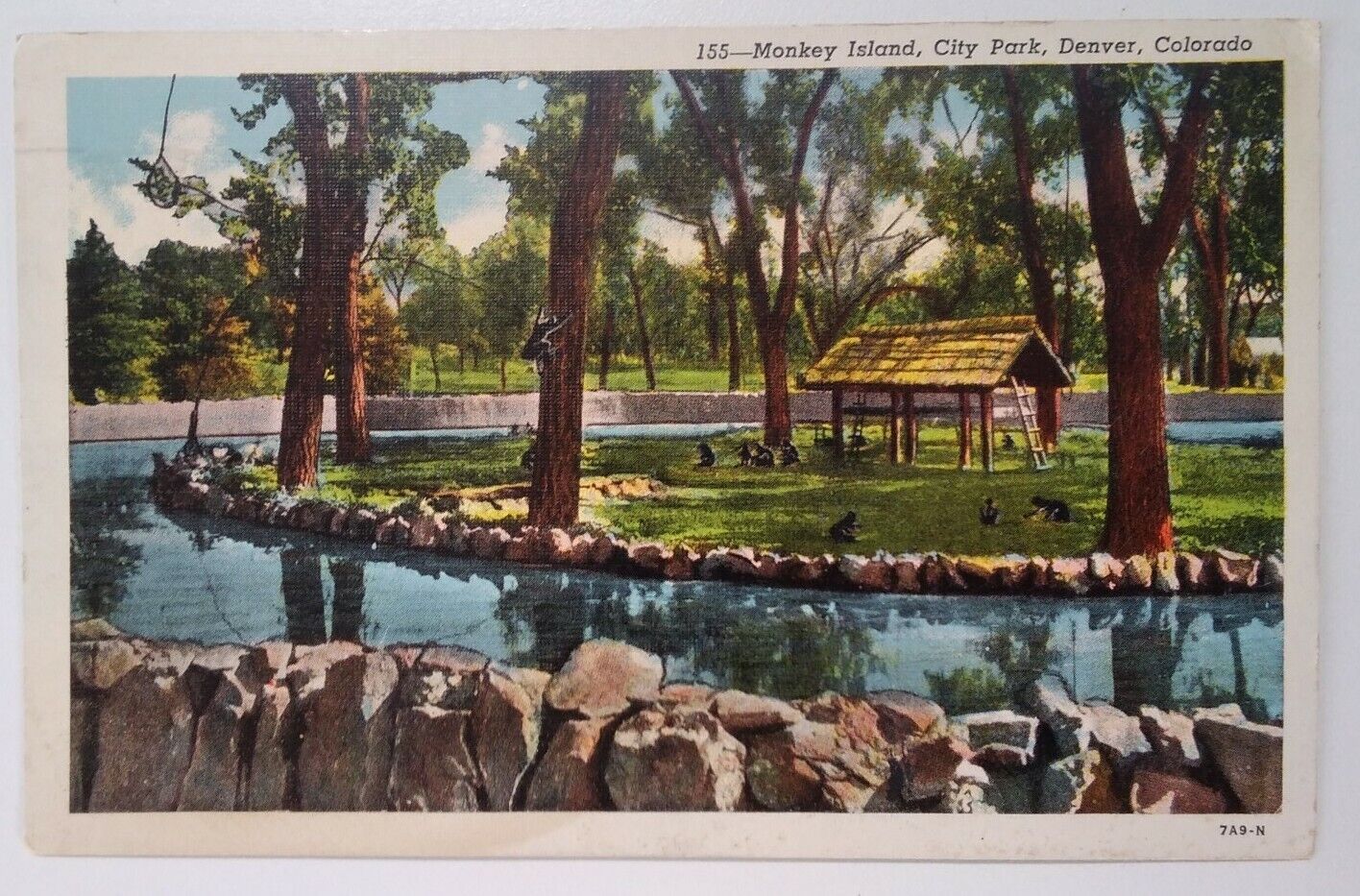 Colorado Postcard Original Rare Denver Zoo Monkey Island USA 