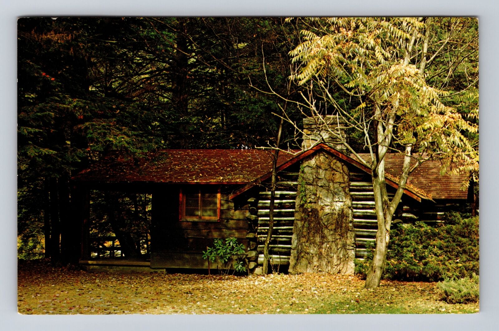 Cook Forest State Park PA-Pennsylvania, Cabins, Antique, Vintage Postcard