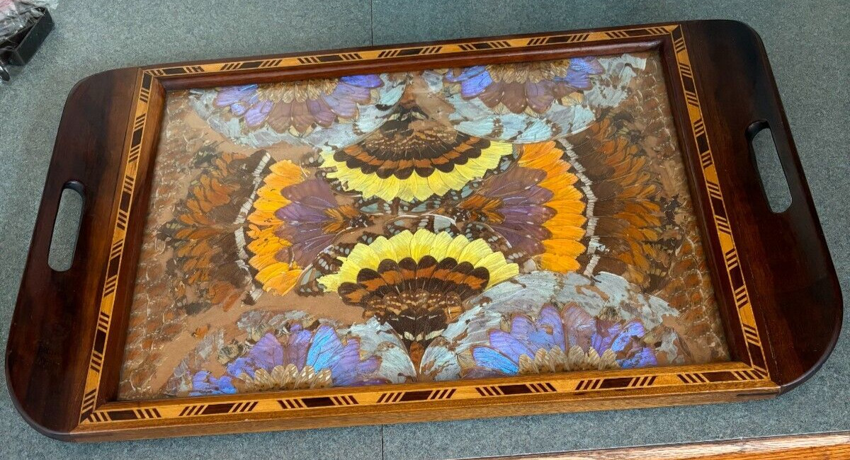 Antique Brazilian Wood and Glass Tray with Inlaid Real Butterfly Wings Unique