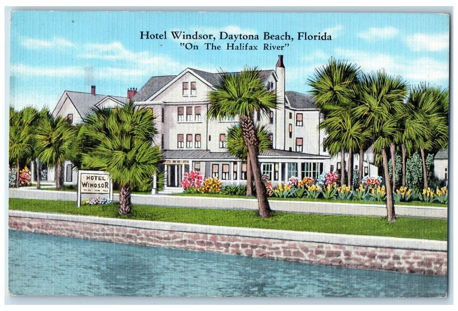 c1940s Hotel Windsor On The Halifax River Daytona Beach Florida FL Tree Postcard