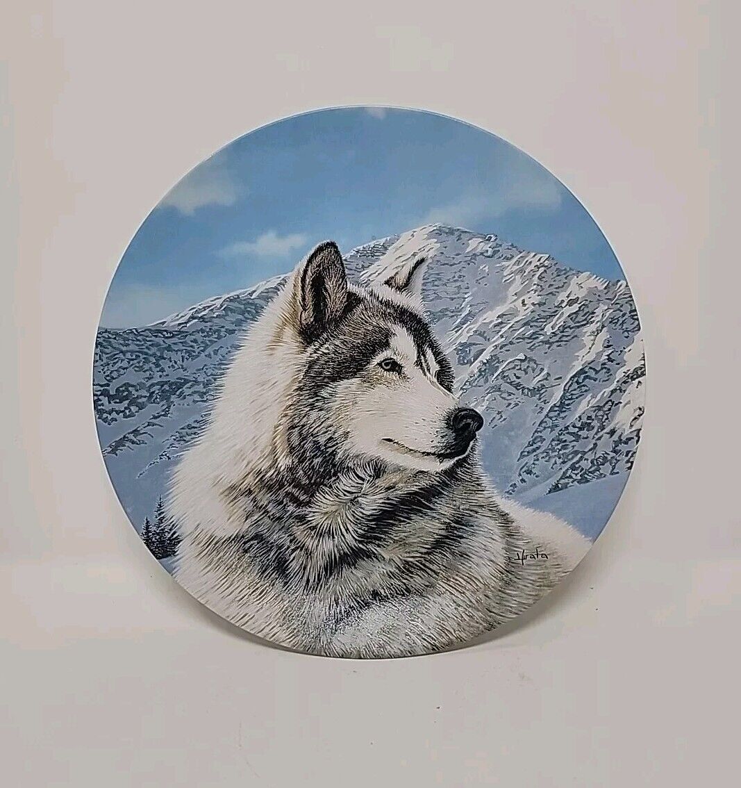 SOLITARY WATCH Plate Wild Spirits Thomas Hirata Gray Wolf Snowy Mountains