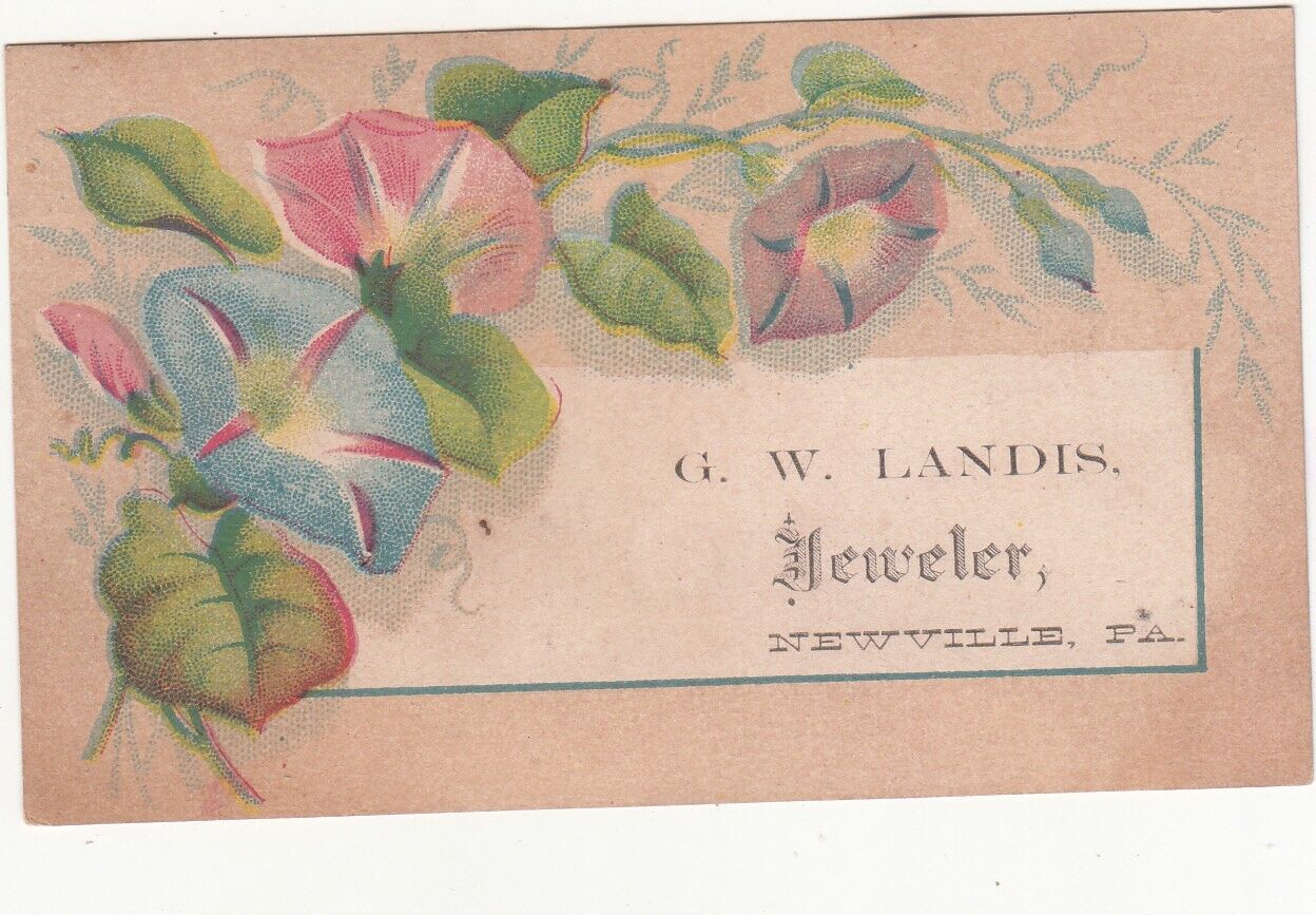 G W Landis Jeweler Newville PA Blue & Pink Flowers Vict Card c1880s