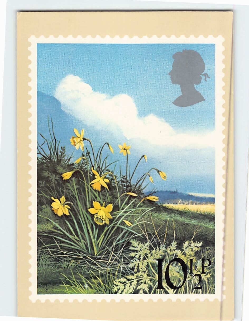 Postcard British Flowers Daffodils