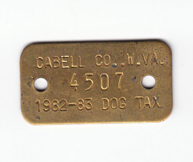1982-83 CABELL COUNTY WEST VIRGINIA DOG TAX LICENSE TAG #4507