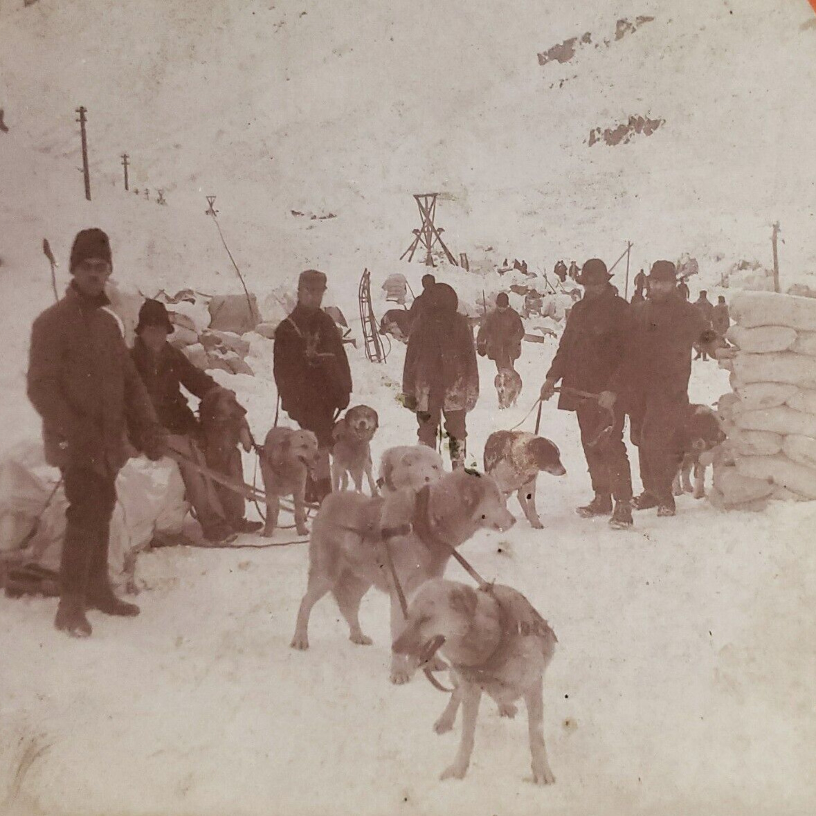 Chilkoot Trail Gold Miners Stereoview c1898 Alaska  Mining Sled Dogs Dyea D474