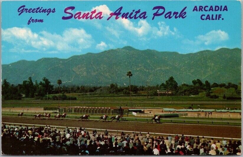 ARCADIA, California Postcard SANTA ANITA PARK Horse Track / Panorama View c1958
