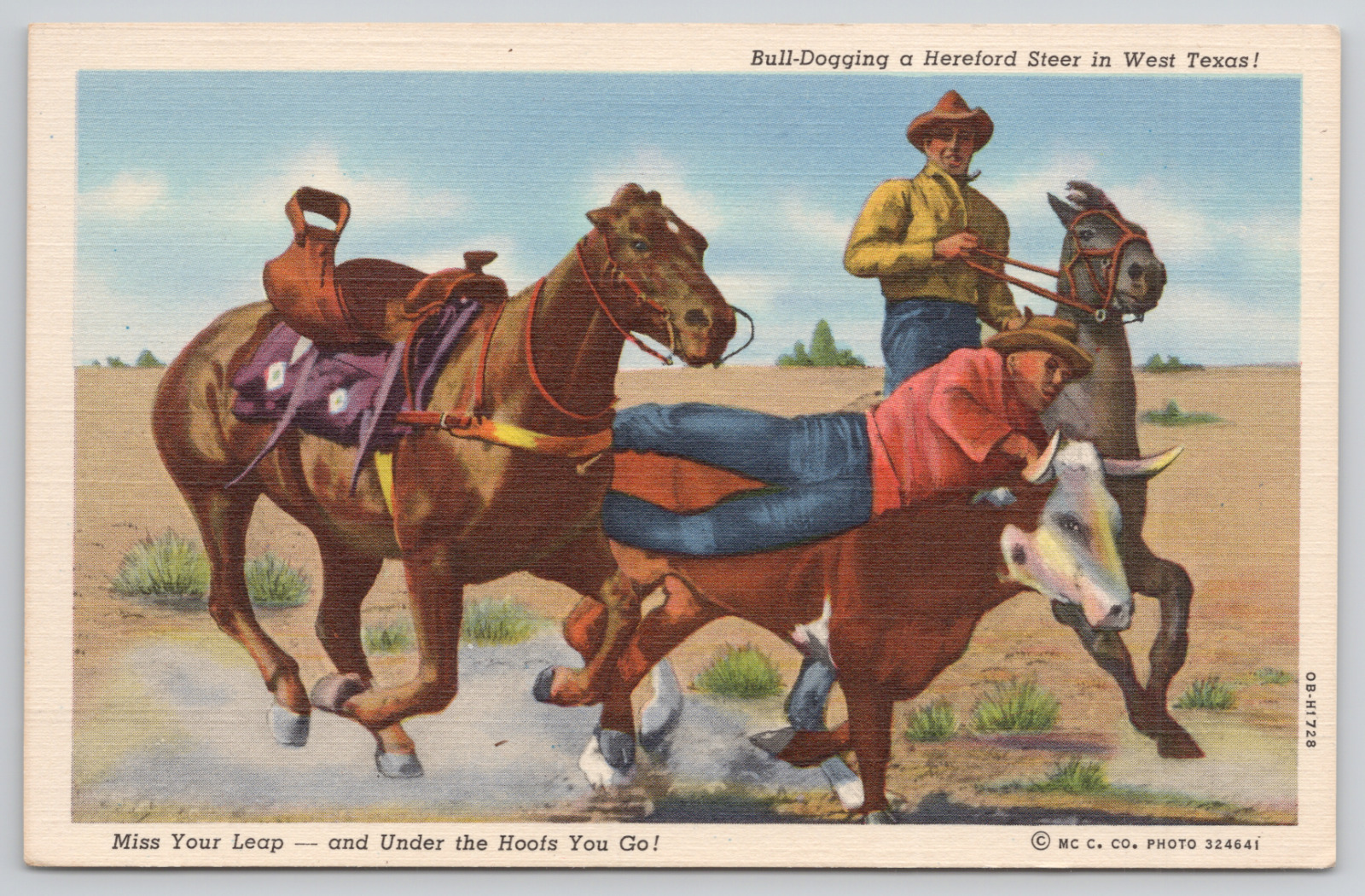West Texas Bulldogging A Hereford Steer Linen Postcard