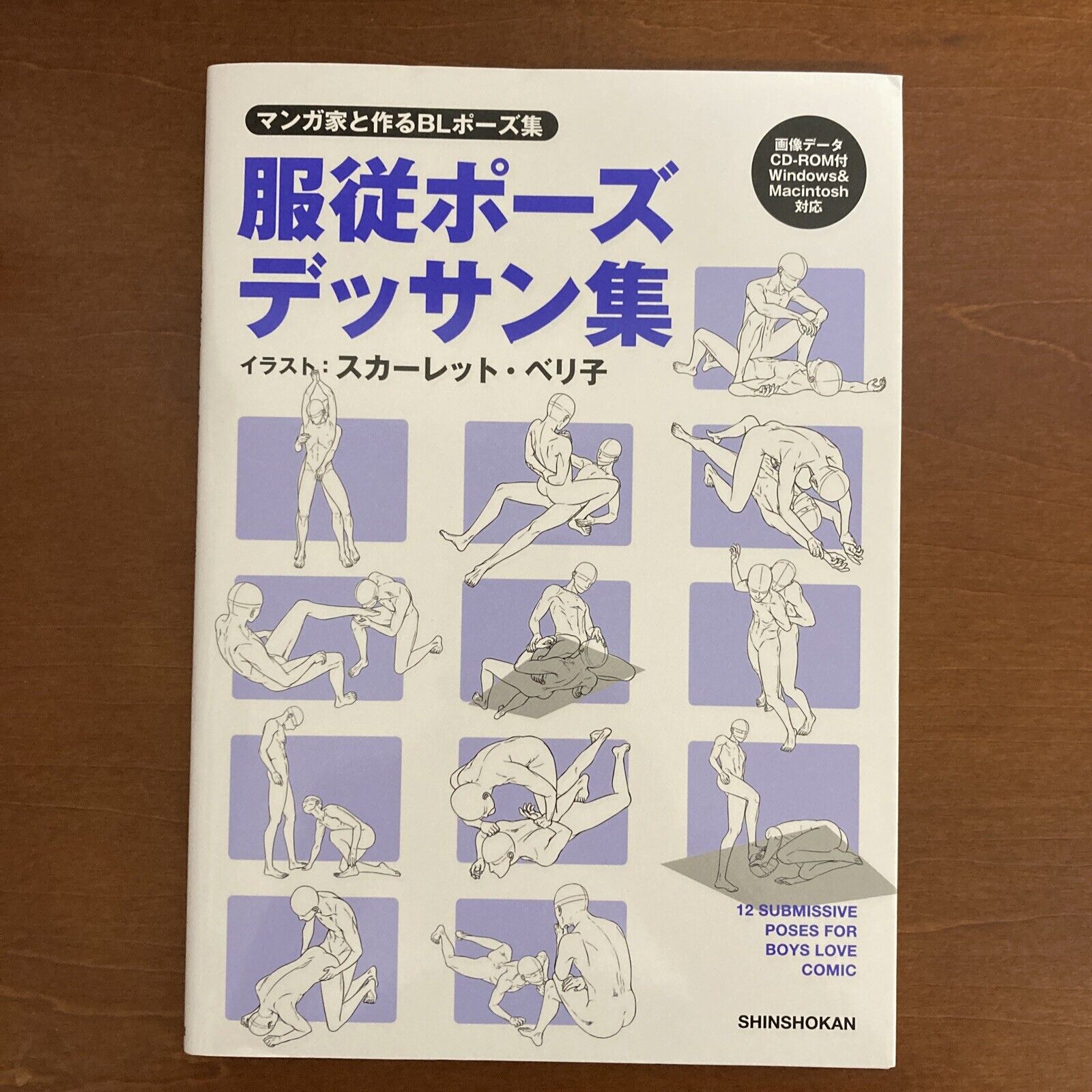 How to Draw BL YAOI Manga Obedience Dessin Art Guide Book w/ CD-ROM